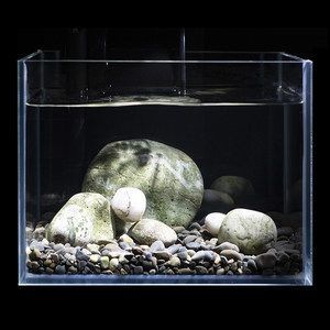 鵝卵石魚缸造景120cm：120cm的魚缸造景可以創(chuàng)造出一種自然和諧的氛圍
