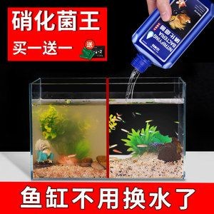 魚缸養(yǎng)魚常見病與用藥有關嗎：魚缸養(yǎng)魚常見病與用藥有關嗎魚缸養(yǎng)魚常見病與用藥有關嗎