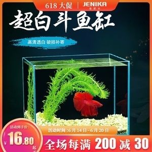 魚缸養(yǎng)魚常見病與用藥有關嗎：魚缸養(yǎng)魚常見病與用藥有關嗎魚缸養(yǎng)魚常見病與用藥有關嗎