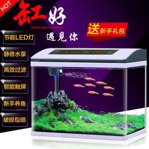 魚缸養(yǎng)魚常見病與用藥有關嗎：魚缸養(yǎng)魚常見病與用藥有關嗎魚缸養(yǎng)魚常見病與用藥有關嗎