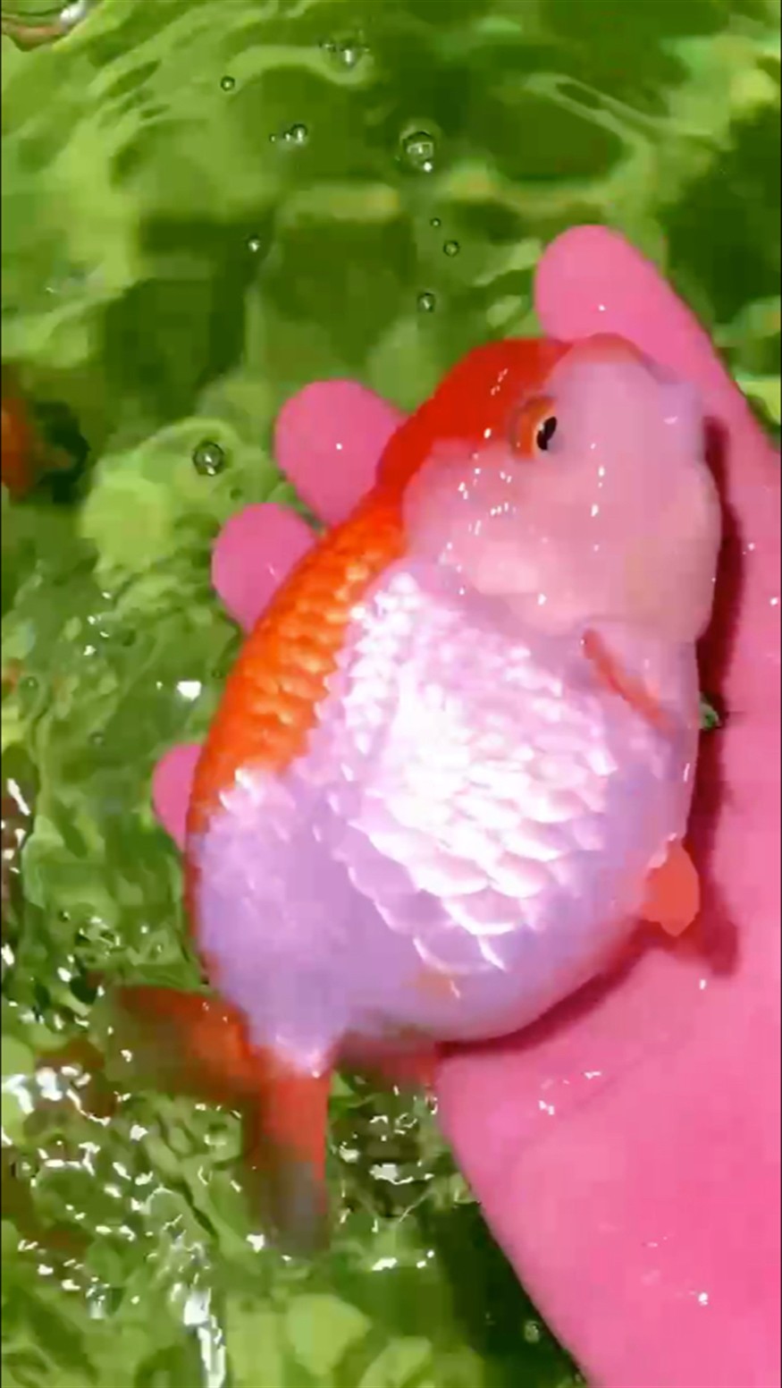 歡迎交流