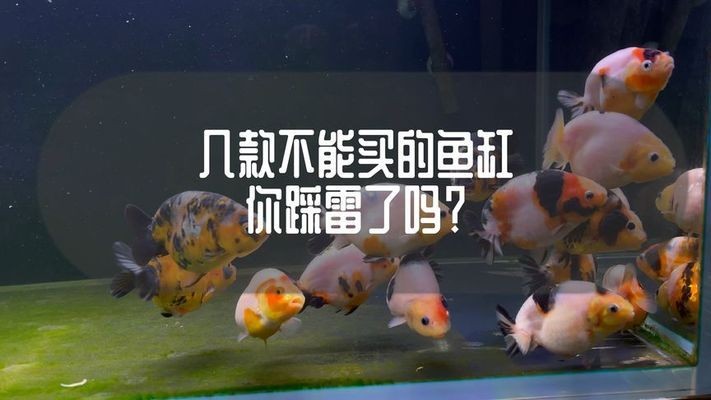鞍山市鐵東區美美美水族館經銷商行（鞍山市鐵東區美美美水族館經銷商行號）