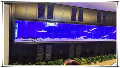 大型亞克力魚缸展示：大型亞克力魚缸是一種既實(shí)用又極具藝術(shù)性的亞克力魚缸