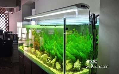 辦公室進門擺放魚缸好不好