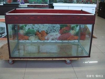 1.5米的魚缸要用多厚的玻璃膠
