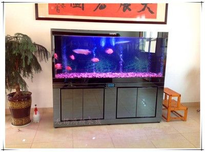 搬家魚缸不帶走可以嗎：大型魚缸搬運(yùn)安全指南