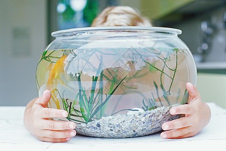 龍魚虎魚最佳溫度（龍魚虎魚最佳溫度是多少）