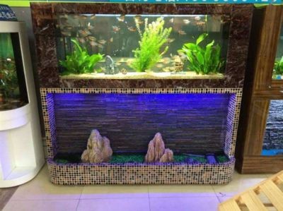 出售低價魚缸違法嗎：出售低價魚缸是否違法？