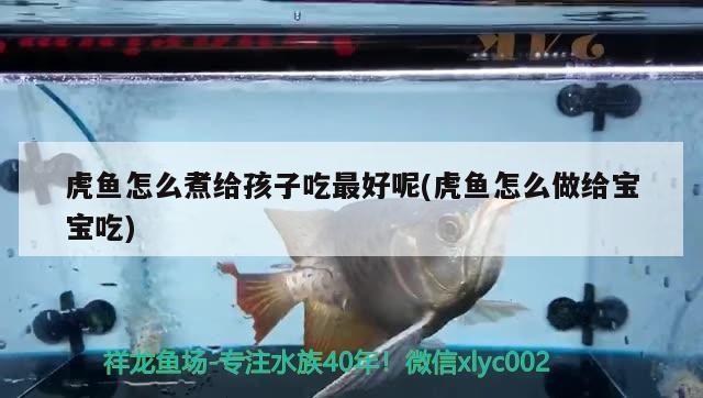 虎魚怎么煮給孩子吃最好呢(虎魚怎么做給寶寶吃)