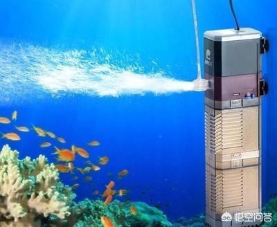 大魚缸清理糞便妙招視頻播放：大魚缸清理糞便妙招