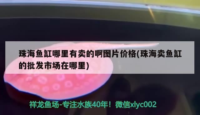 <strong><mark>珠海</mark></strong>魚缸哪里有賣的啊圖片價(jià)格(<strong><mark>珠海</mark></strong>賣魚缸的批發(fā)市場(chǎng)在哪里)