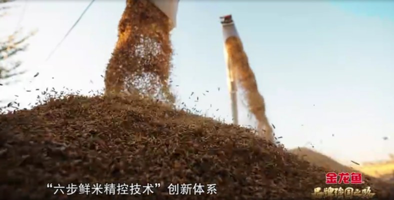 紅龍魚的價格與購買價格對比表（紅龍魚的價格與購買價格對比表圖片）