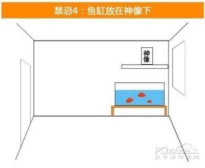 西豐縣西豐鎮萌萌盆藝水族店