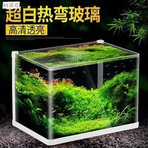 玻璃魚缸青苔怎么處理：如何處理魚缸中的青苔