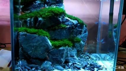 大型魚缸造景:大型魚缸造景材質選擇 魚缸百科 第3張 大型魚缸造景:大型魚缸造景材質選擇 大型魚缸造景:大型魚缸造景材質選擇 魚缸百科 第3張