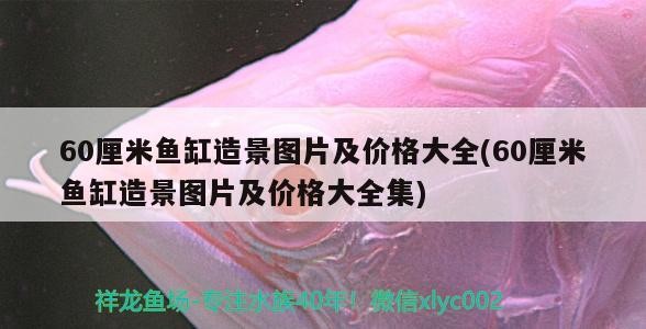 廣州水族館虎魚(yú)肚子鼓 虎魚(yú)百科 第1張 廣州水族館虎魚(yú)肚子鼓 廣州水族館虎魚(yú)肚子鼓 虎魚(yú)百科 第1張