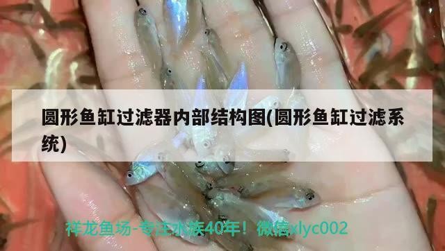 圓形魚缸過濾器內部結構圖(圓形魚缸過濾系統)