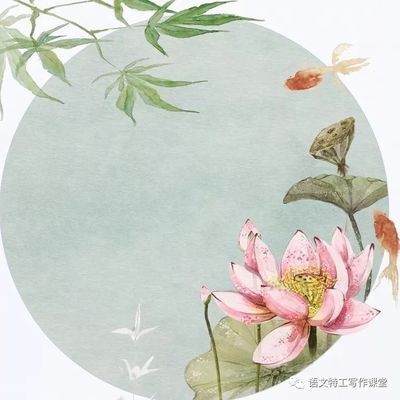 紅龍魚用什么背景最好發色的呢圖片大全（紅龍魚用什么背景最好發色的呢圖片大全集）