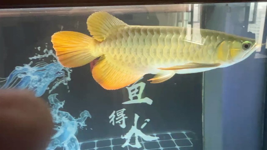 記錄一下 到家第八天