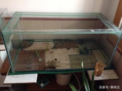玻璃膠新粘的魚缸幾天能放水：新粘的魚缸在使用玻璃膠后需要一定的時間才能安全地放水