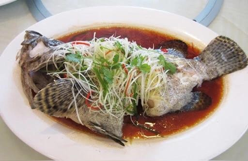 虎魚:虎魚怎么區別高身
