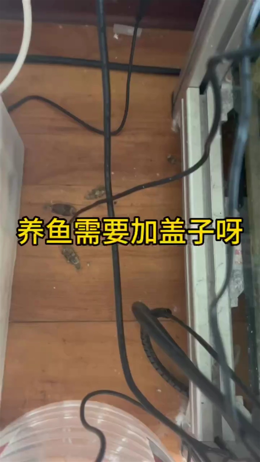 一定要加蓋子