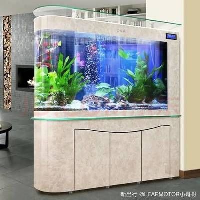 60的魚缸就養(yǎng)一條魚養(yǎng)什么魚好：60厘米的魚缸中養(yǎng)一條魚時，有幾個因素需要考慮，需要考慮