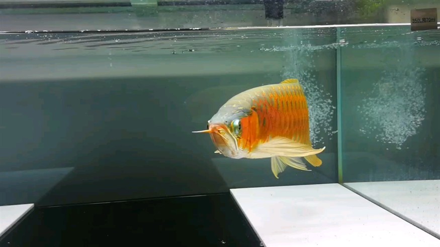 靚不靚