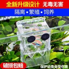 斗魚缸設計：斗魚缸生態系統的構建斗魚缸設計指南，斗魚缸設計指南