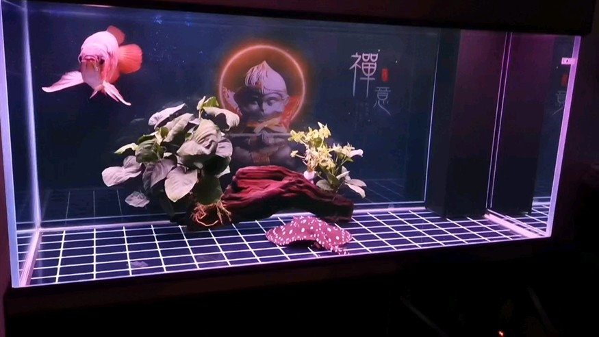 頭疼