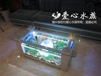 吉林市龍潭區仙淼水族店（吉林市龍潭區仙淼水族店地址）
