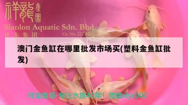 澳門金魚缸在哪里批發市場買(塑料金魚缸批發)
