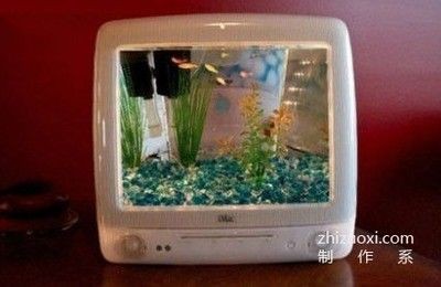 成品小魚缸改造方案：成品小魚缸上濾改造