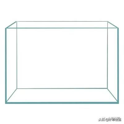 傳統魚缸造景：為玻璃后面是在熱帶魚？