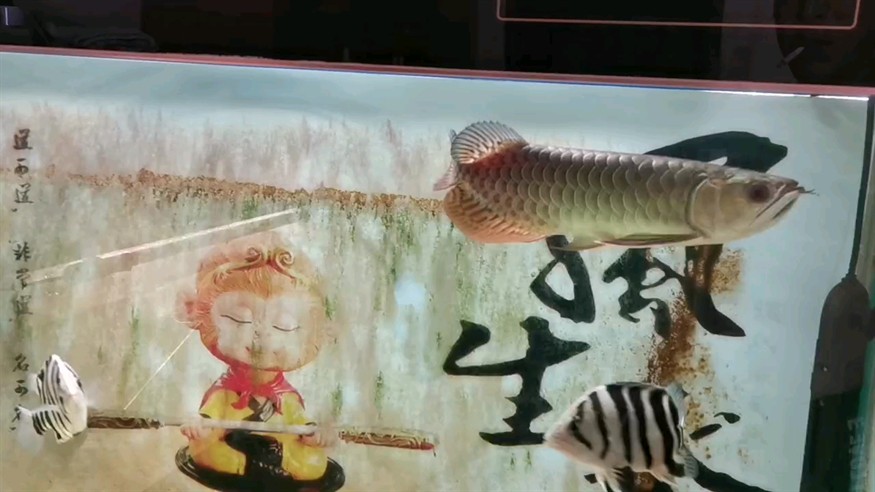 喜悅之情