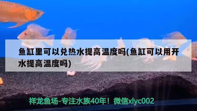 魚缸里可以兌熱水提高溫度嗎(魚缸可以用開水提高溫度嗎)