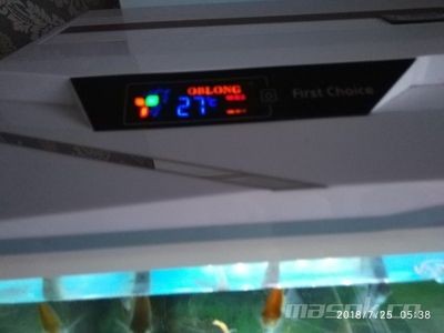 oblong魚缸怎么樣：\"oblong魚缸\"