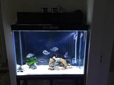 百因美 魚缸安裝：百因美魚缸安裝步驟
