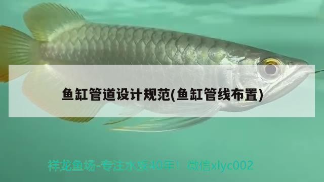 魚(yú)缸管道設(shè)計(jì)規(guī)范(魚(yú)缸管線布置)