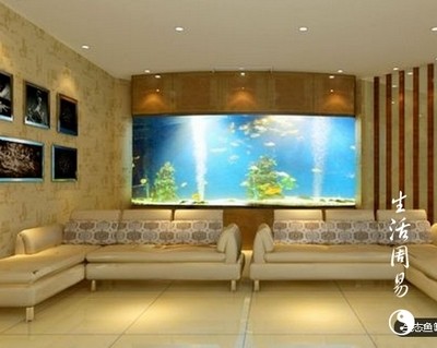 煙臺市芝罘浩洋水族館（煙臺市芝罘浩洋水族館電話）