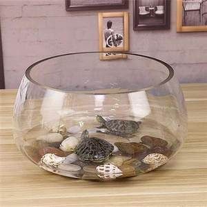 半圓形魚缸養什么魚好：半圓形魚缸適合養什么魚
