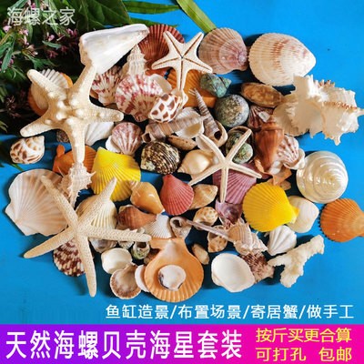 上海市普陀區培君水族館（上海市普陀區培君水族館地址）