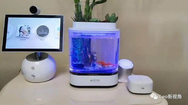 奎文區(qū)梨園御苑金魚店（奎文區(qū)梨園御苑金魚店電話）