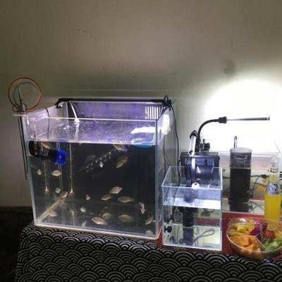 大把的魚缸：養(yǎng)護(hù)大型魚缸需要考慮哪些問題？