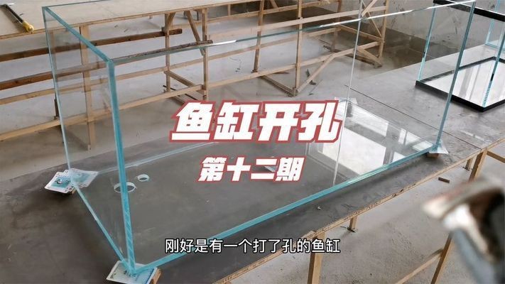 玻璃魚缸可以打孔嗎有毒嗎視頻：如何在玻璃魚缸上打孔
