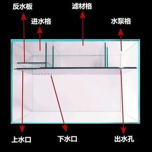 背濾魚缸濾材擺放順序：背濾魚缸濾材擺放順序是按照一定的科學(xué)原則進(jìn)行的