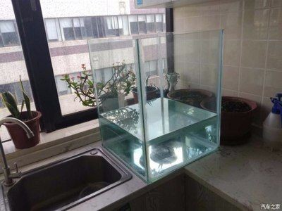 玻璃做魚缸：如何自制玻璃魚缸？