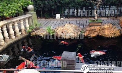 大自然下循環魚缸安裝視頻：大自然下循環魚缸安裝視頻教程&nbsp