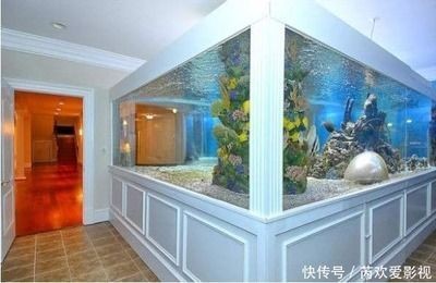 鞍山市宏鵬水族器材有限公司（鞍山市宏鵬水族器材有限公司電話）