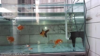 營口經(jīng)濟(jì)技術(shù)開發(fā)區(qū)龍緣水族館（營口經(jīng)濟(jì)技術(shù)開發(fā)區(qū)龍緣水族館地址）